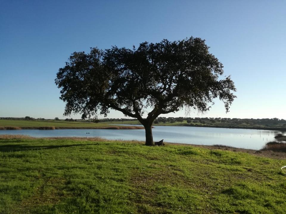 Villa Monte Da Figueira Amareleja Esterno foto
