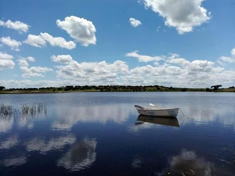 Villa Monte Da Figueira Amareleja Esterno foto