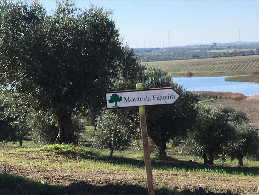 Villa Monte Da Figueira Amareleja Esterno foto