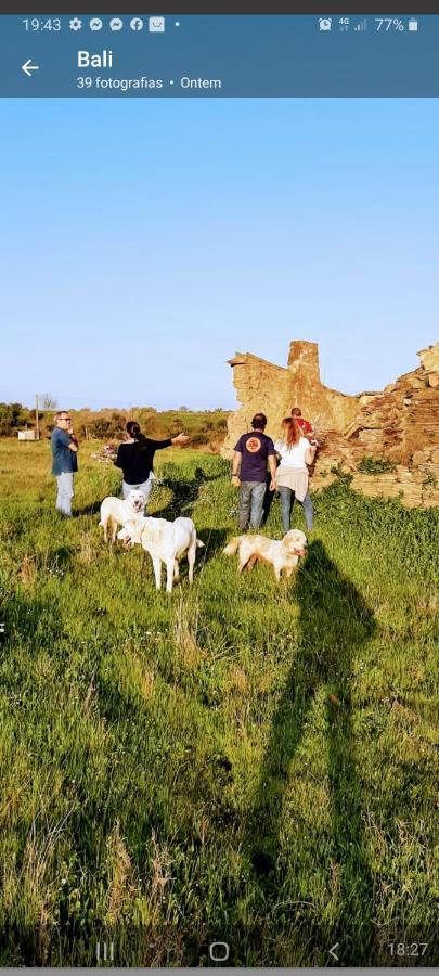 Villa Monte Da Figueira Amareleja Esterno foto