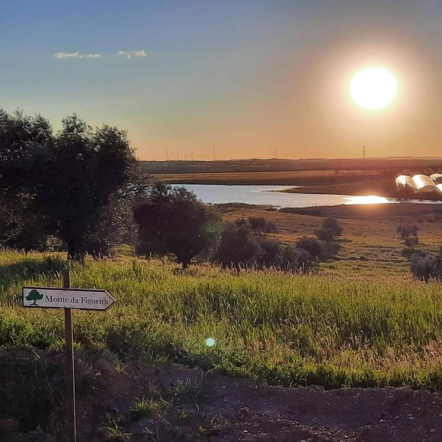 Villa Monte Da Figueira Amareleja Esterno foto
