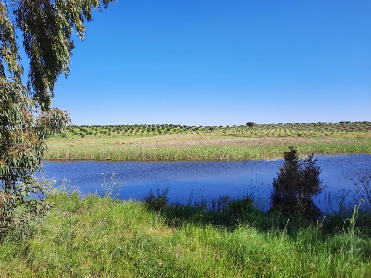 Villa Monte Da Figueira Amareleja Esterno foto