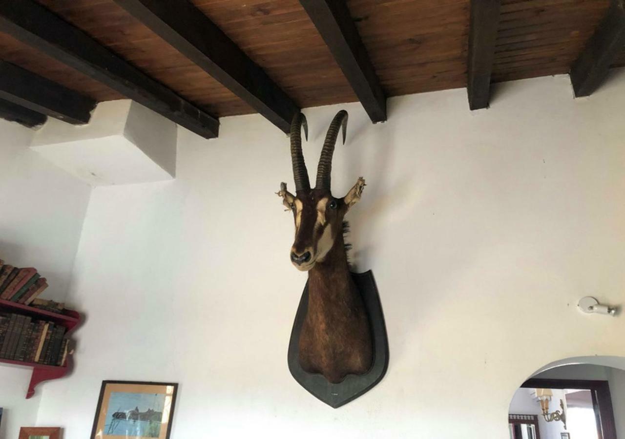 Villa Monte Da Figueira Amareleja Esterno foto